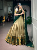 *LNB2029* Lehenga Choli